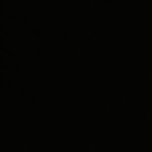 Meet your Posher, Nina